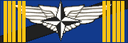 Pilot